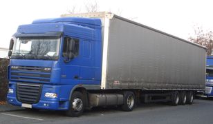 Prawie tona ryb na ulicy. Mieszkańcy nie mogli znieść smrodu