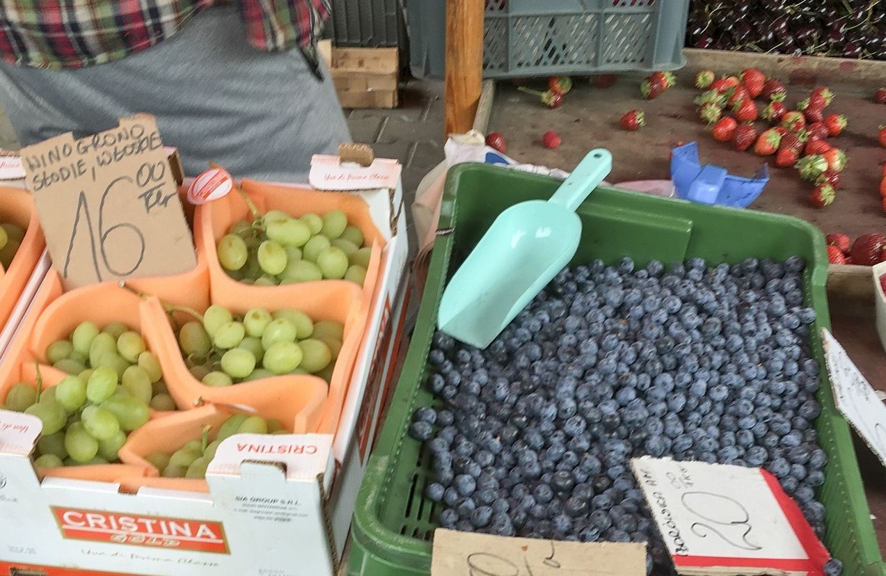Borówki, czym kierować się przy zakupie