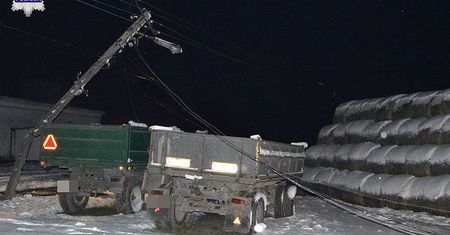 Horror w oborze. Zerwane przez ciężarówkę kable zabiły krowy