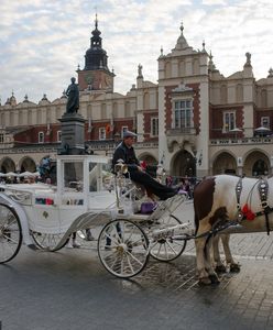 Kraków. Wpłynęło zawiadomienie o przeciążaniu koni dorożkarskich