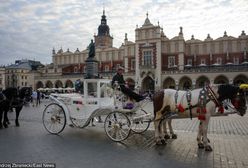 Kraków. Wpłynęło zawiadomienie o przeciążaniu koni dorożkarskich
