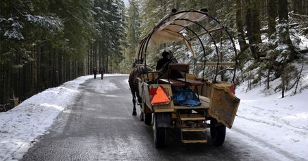 Podhale. Zwoził turystów z Morskiego Oka. Ledwo trzymał lejce