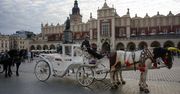 Kraków. Wpłynęło zawiadomienie o przeciążaniu koni dorożkarskich