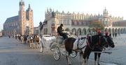 Kraków. Prokuratura podjęła decyzję w sprawie koni dorożkarskich