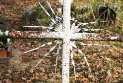 Tajemnica grobu na Białołęce. Sprawdzą cały teren