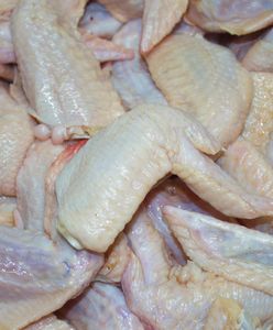 Skandal z polskim mięsem. Ponad 100 ton kurczaków z salmonellą trafiło do Bułgarii