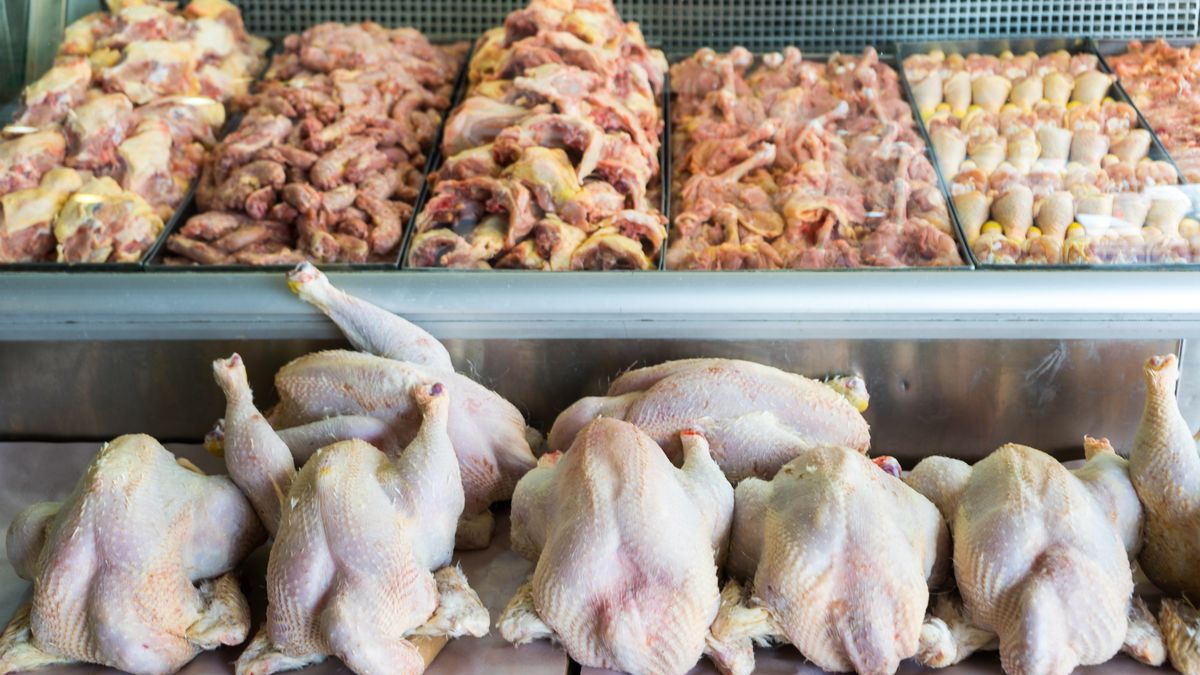 Polski drób znowu może mieć problem. 