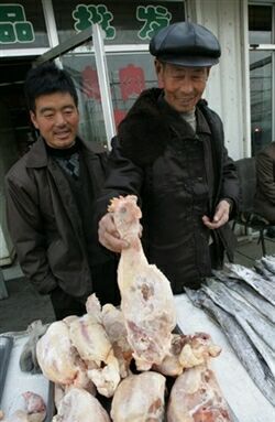 Będzie masowy ubój chińskiego ptactwa z powodu ptasiej grypy