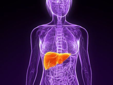 Serce jest po lewej stronie, a... wątroba? Quiz