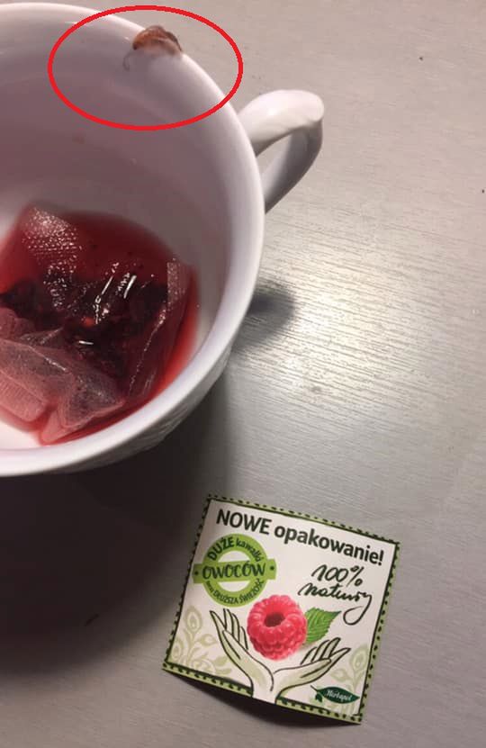 Robak wypełzł z torebki herbaty 