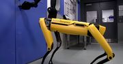 Te roboty mogą zdobyć świat. Otworzyły już pierwsze drzwi
