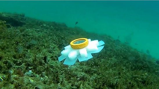 Robot porusza się jak meduza