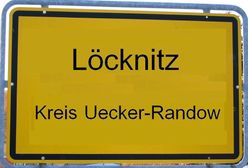 Nasi w niemieckich wyborach do europarlamentu