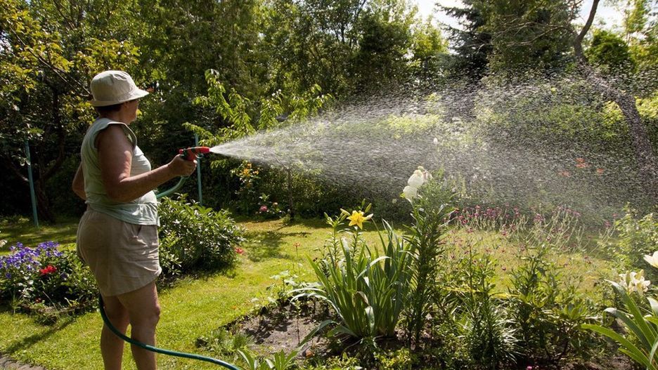 Wrocław zlikwiduje około 6 hektarów ogródków działkowych.