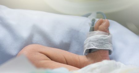 Bohaterski pies uratował noworodka. Matka zakopała chłopca w polu