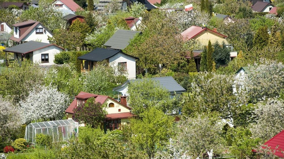 Opłata za wywóz śmieci wzrosła dla działek rekreacyjnych ze 150 zł do 600 zł 