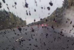 Asfalt rozbryzgiwał się na szybach jadących aut. W mediach społecznościowych wrze