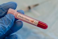 EBOLA – krwawe starcia w pobliżu ognisk epidemii