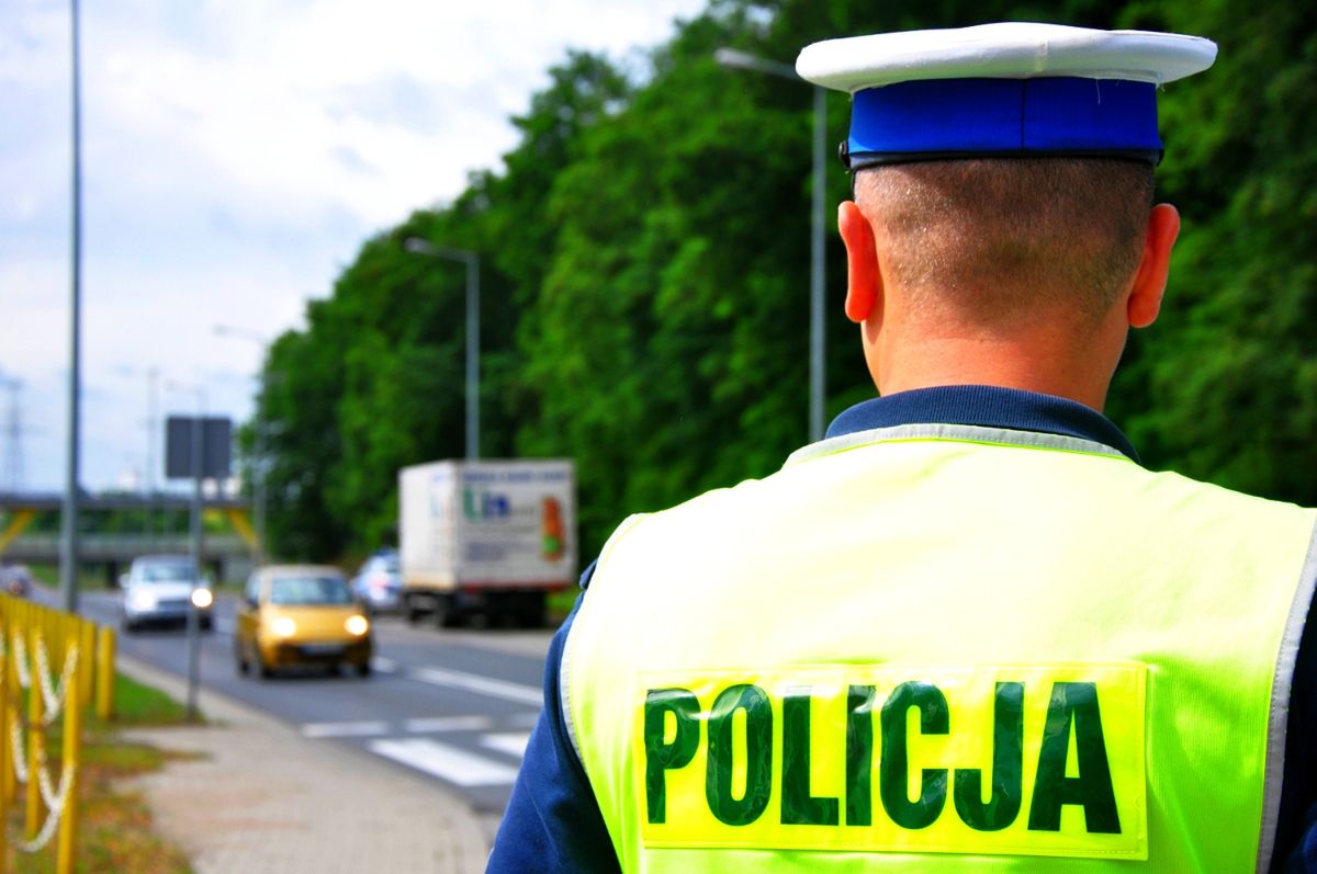 Absurdalne przepisy w polskim kodeksie drogowym. Sprawdź czy straciłbyś prawo jazdy