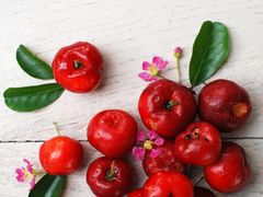 Acerola - wiśnia z Barbados