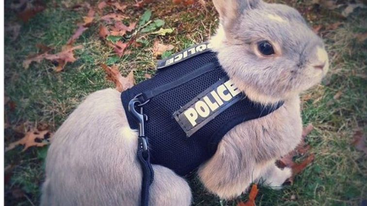 Zdjęcie opublikowane na profilu stołecznej policji