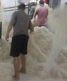 Szokujące zdjęcia z fabryki makaronu