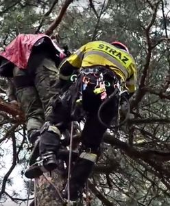 Spadochroniarz nie trafił w lotnisko. Akcja służb w Rybniku