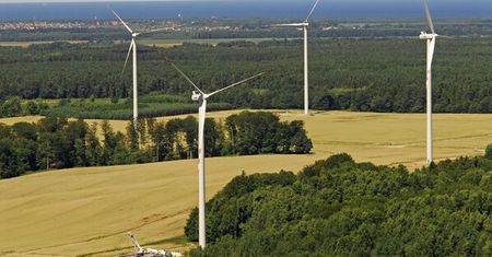 Zielona energia dla klientów TAURONA
