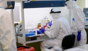 Koronawirus w Polsce. Program specjalny WP