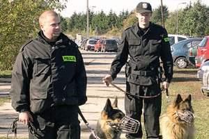 Policjanci z psami pojawią się w Łodzi