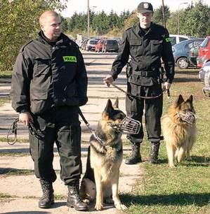 Policjanci z psami pojawią się w Łodzi