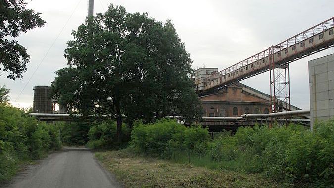 Obraz
