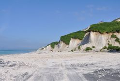Rosja i Japonia rywalizują o terytoria. Czy Putin zgodzi się na wspólną gospodarkę?