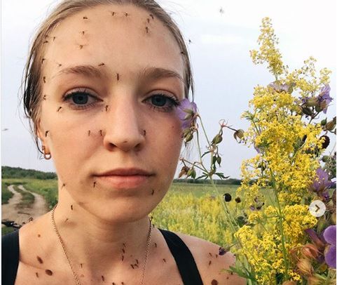 Selfie z komarami. Dziewczyna z Syberii powraca