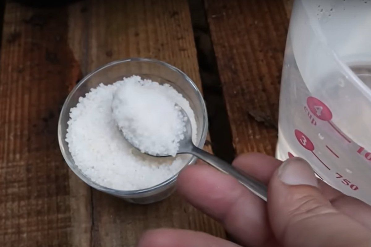 Nawóz przyspieszający wzrost zrobisz z mocznika. Fot. YouTube/
Loucos das Plantas