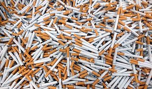 Policja przejęła pół miliona nielegalnych papierosów