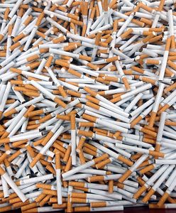 Policja przejęła pół miliona nielegalnych papierosów