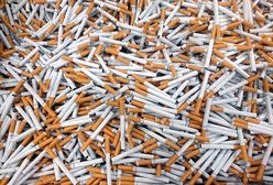 Nieudany przemyt papierosów z Białorusi. 29 tys. paczek ukryte na dachu naczepy