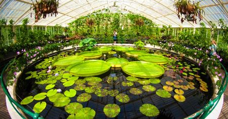 Najwspanialsze ogrody botaniczne Europy