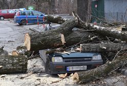 Trzy osoby ranne, strażacy interweniowali ok. 1400 razy. Wichury nad Polską