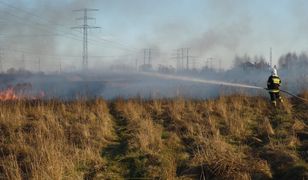 Wiosna trwa dopiero kilka dni. A strażacy już walczą z pożarami traw