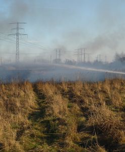 Wiosna trwa dopiero kilka dni. A strażacy już walczą z pożarami traw