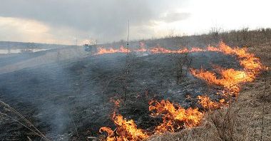 Wraz z wiosną powraca problem wypalania traw