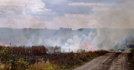 Wypalanie traw. Resort rolnictwa ostrzega: nawet 10 lat więzienia i utrata dopłat