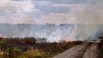 Wypalanie traw. Resort rolnictwa ostrzega: nawet 10 lat więzienia i utrata dopłat