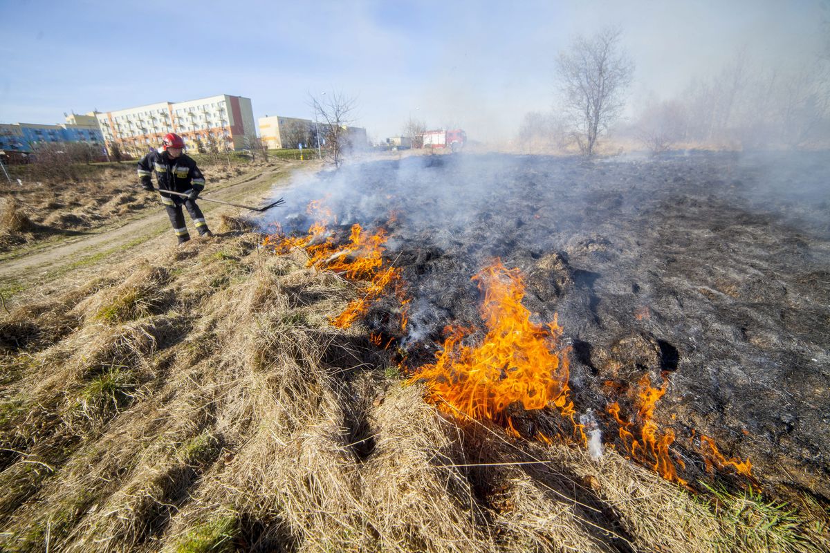 Kosztowne wypalanie traw. Zabiorą dotację, wlepią grzywnę