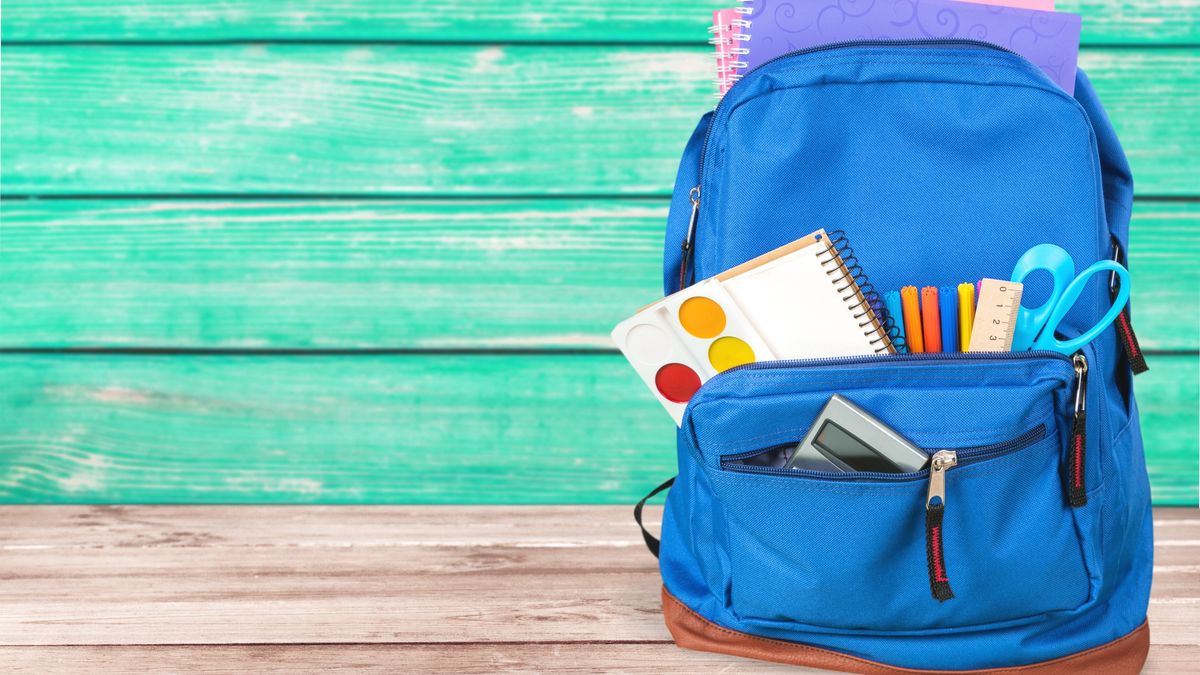 Program "300 plus" - kogo dotyczy i w jakim czasie można złożyć wniosek?