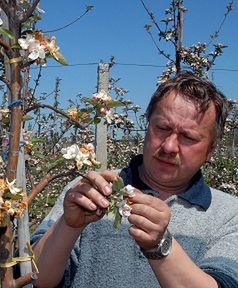 Lepper: rząd pomoże sadownikom, którzy ponieśli straty