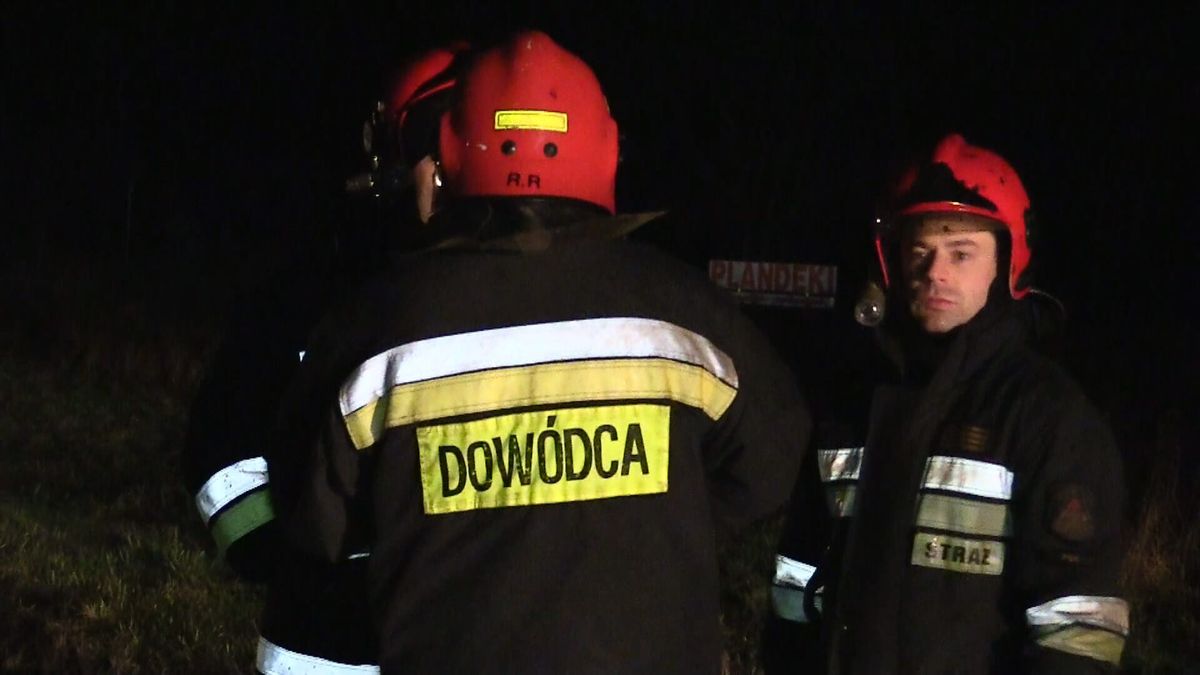 zdjęcie