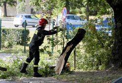 Nawałnice nad Polską. Krotoszyn sparaliżowany po burzy